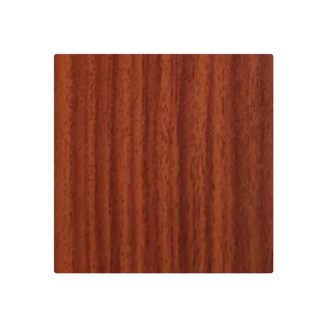 Nussbaum T-5DS