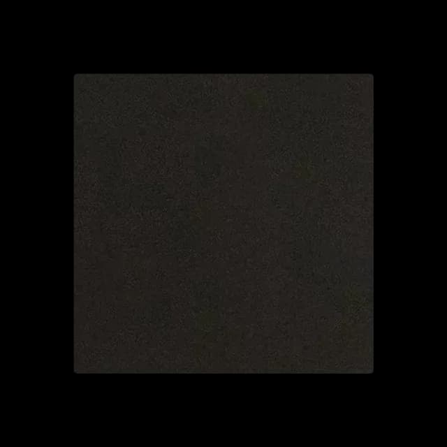 RAL 9005
